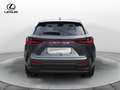 Lexus NX 300 NX Plug-in 4WD Premium + Grigio - thumbnail 6