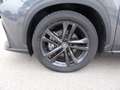 Lexus NX 300 NX Plug-in 4WD Premium + Grigio - thumbnail 8