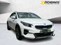 Kia XCeed 1.4T Vision LED Tempomat Blanc - thumbnail 4