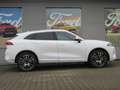 GWM WEY 05 Luxury 2.0l PHEV AWD *Massagesitze vorne*  -Euro6d Alb - thumbnail 14