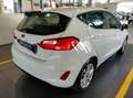 Ford Fiesta Fiesta 5p 1.1 Titanium 75cv Wit - thumbnail 6