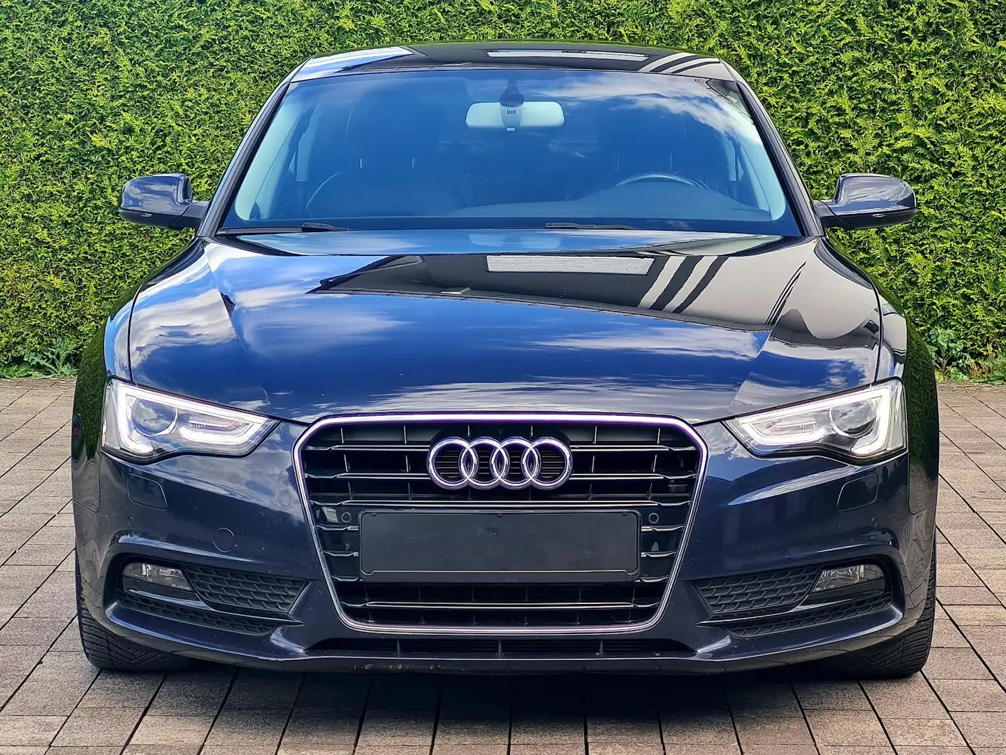 Audi A5 2.0 TDI 110kW clean d. multit. Sportback Blu/Azzurro - 2