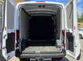 Ford Transit Kasten 2,0 EcoBlue L2H2 Trend *AHK*PDC*Klima* Weiß - thumbnail 9