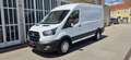 Ford Transit Kasten 2,0 EcoBlue L2H2 Trend *AHK*PDC*Klima* Weiß - thumbnail 1