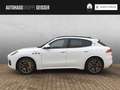 Maserati Grecale Modena Hybrid AWD MJ 23 ACC HUD LED SD Weiß - thumbnail 9