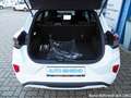 Ford Puma ST-Line Automatik Navi Kamera 60 Mo Blanc - thumbnail 6