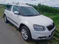Skoda Yeti Yeti Outdoor Active Green tec 1,6 TDI DSG Outdoor Active Weiß - thumbnail 1