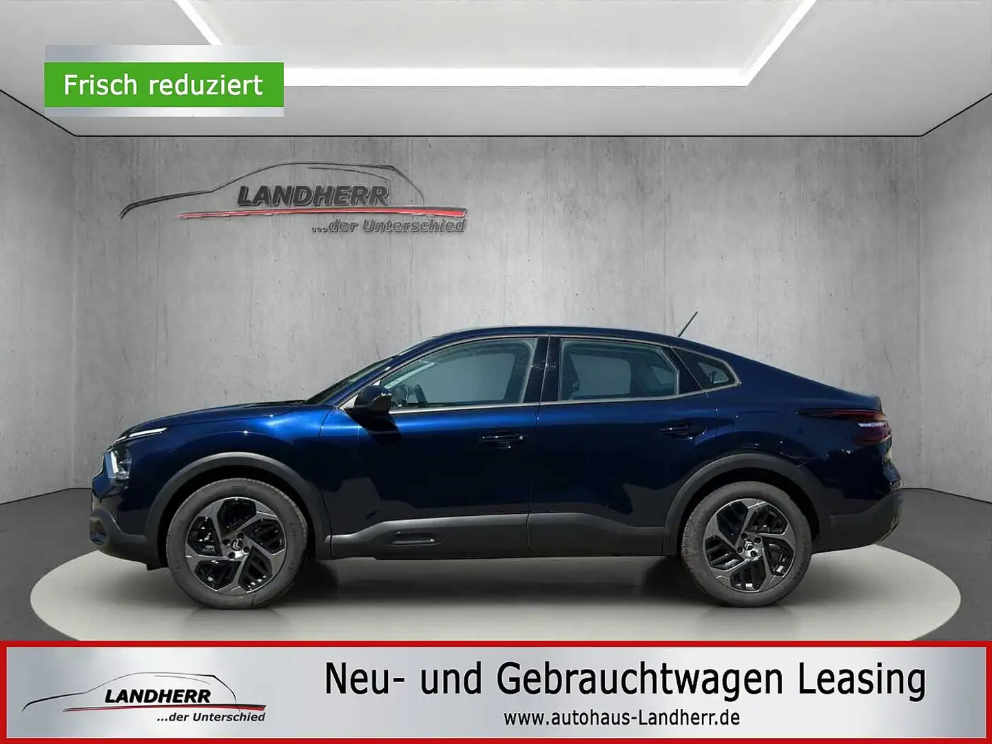 Citroen C4 X 1.2 Plus Navi/SHZ/PDC/Kamera Blau - 1