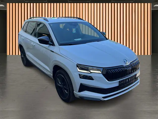Skoda Karoq view 4