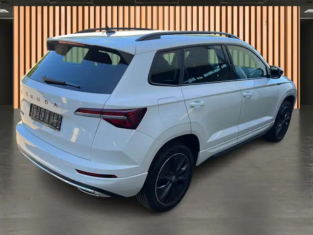 Skoda Karoq view 5