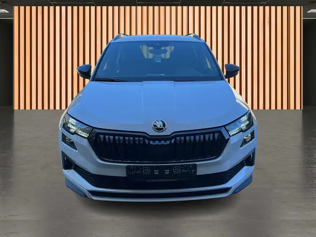 Skoda Karoq view 3