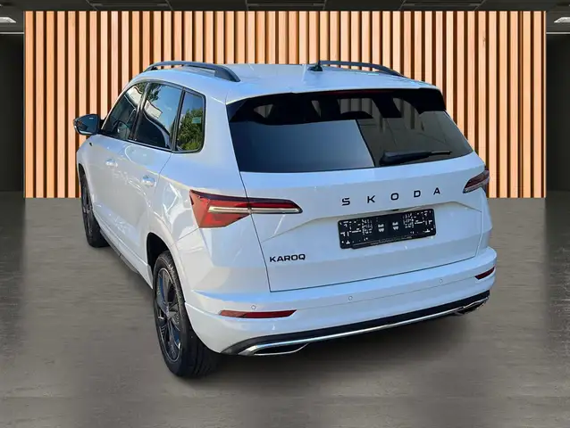 Skoda Karoq view 7