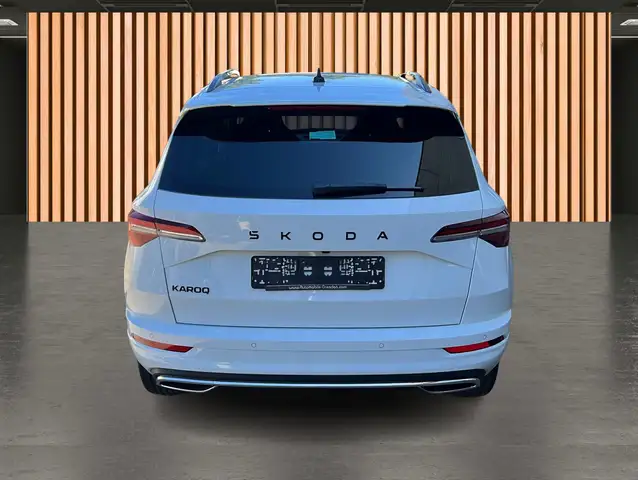 Skoda Karoq view 6