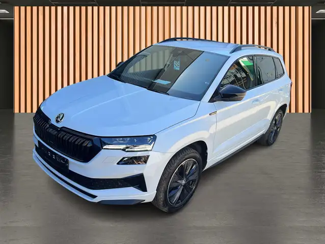 Skoda Karoq view 2
