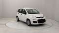 Fiat Pandina 1.0 firefly hybrid s&s 70cv Белый - thumbnail 7