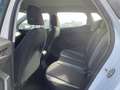 SEAT Ibiza 1.6 TDI 95CH START/STOP STYLE BUSINESS EURO6D-T Blanc - thumbnail 14
