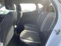 SEAT Ibiza 1.6 TDI 95CH START/STOP STYLE BUSINESS EURO6D-T Blanc - thumbnail 13