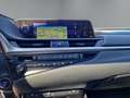Lexus ES 300 Sportpaket Navi Memory Sitze Soundsystem LED ACC D Schwarz - thumbnail 15
