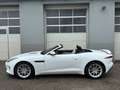 Jaguar F-Type P300 Cabrio 2,0 Turbo Aut. Weiß - thumbnail 19