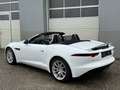 Jaguar F-Type P300 Cabrio 2,0 Turbo Aut. Weiß - thumbnail 29
