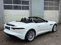 Jaguar F-Type P300 Cabrio 2,0 Turbo Aut. Weiß - thumbnail 26