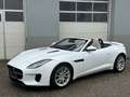 Jaguar F-Type P300 Cabrio 2,0 Turbo Aut. Weiß - thumbnail 1