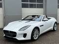 Jaguar F-Type P300 Cabrio 2,0 Turbo Aut. Weiß - thumbnail 25