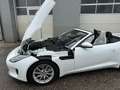 Jaguar F-Type P300 Cabrio 2,0 Turbo Aut. Weiß - thumbnail 28