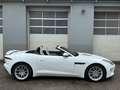 Jaguar F-Type P300 Cabrio 2,0 Turbo Aut. Weiß - thumbnail 6