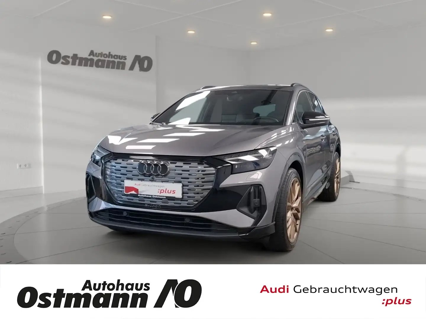 Audi Q4 e-tron Q4 50 quattro e-tron Eibach Distanzringe Pano RFK Grau - 1