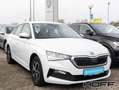 Skoda Scala 1.0 TSI Ambition Dynamic-Paket LED PDC Smart Link Weiß - thumbnail 3
