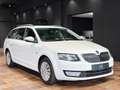 Skoda Octavia COMBI TDI 4x4 AMBITION SHZ TEMPO 2Z-KLIMAAUTO Weiß - thumbnail 10