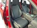 Mercedes-Benz GLC 300 d 4MATIC AMG/PANO/AHK/STHZ./NIGHT Roşu - thumbnail 13