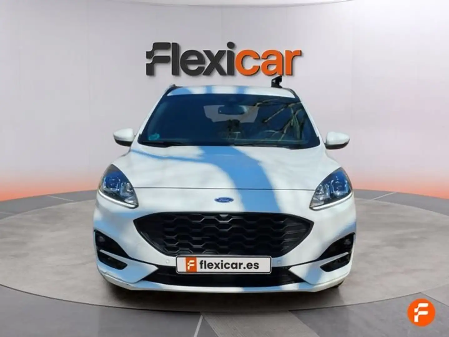 Ford Kuga 2.0 EcoBlue ST-Line FWD 120 Aut. Blanco - 2