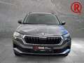 Skoda Karoq Selection 130 Jahre Apple CarPlay Android Auto PDC Grau - thumbnail 2