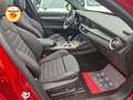 Alfa Romeo Stelvio 2.2 210cv Intensa Q4 | TETTO | ROSSO ALFA Rosso - thumbnail 19
