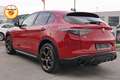 Alfa Romeo Stelvio 2.2 210cv Intensa Q4 | TETTO | ROSSO ALFA Rosso - thumbnail 5