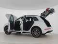 Audi Q5 40 2.0 tdi mhev 12V S line Plus quattro s-tronic Bianco - thumbnail 8