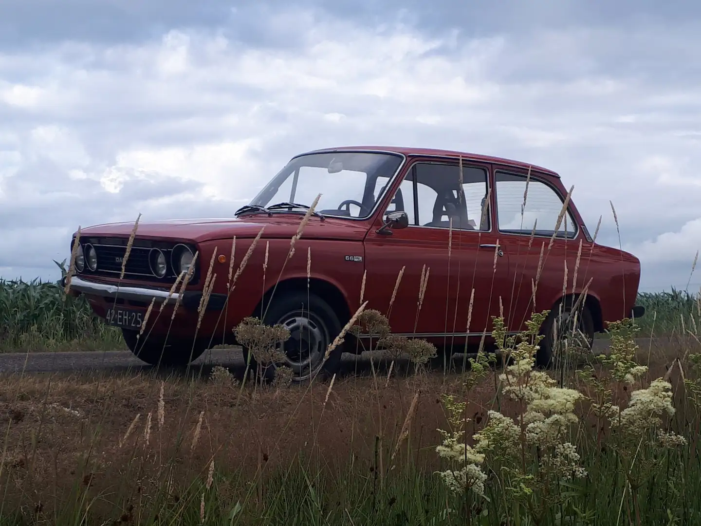 DAF Overig Coupé Rouge - 1