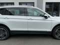 SEAT Tarraco Tarraco 2.0 TDI SCR Xcellence Weiß - thumbnail 5