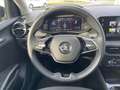 Skoda Fabia Selection 1.5 TSI DSG Panoramadach Schwarz - thumbnail 13