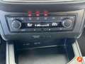 SEAT Ibiza 1.0 TSI 81kW (110CV) Xcellence Go2 Blanco - thumbnail 22