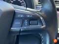 SEAT Ibiza 1.0 TSI 81kW (110CV) Xcellence Go2 Blanc - thumbnail 11