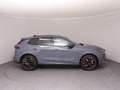 CUPRA Terramar VZ 2.0 TSI 265 PS DSG 4Drive Grau - thumbnail 33