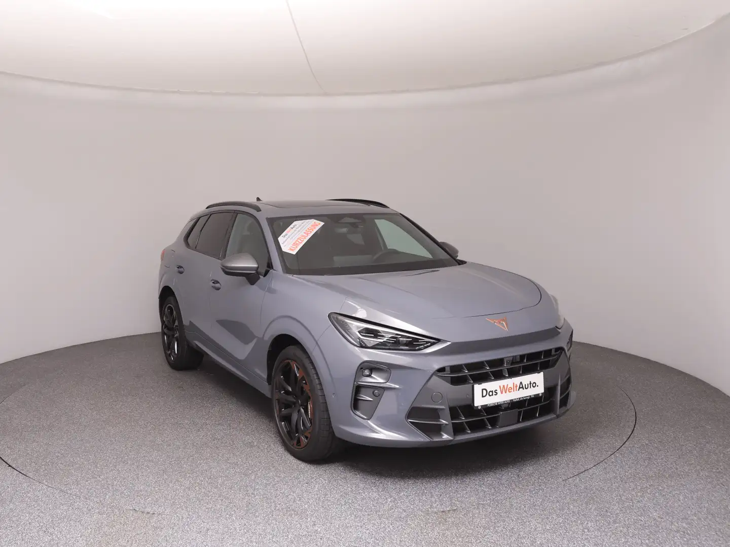 CUPRA Terramar VZ 2.0 TSI 265 PS DSG 4Drive Grau - 2
