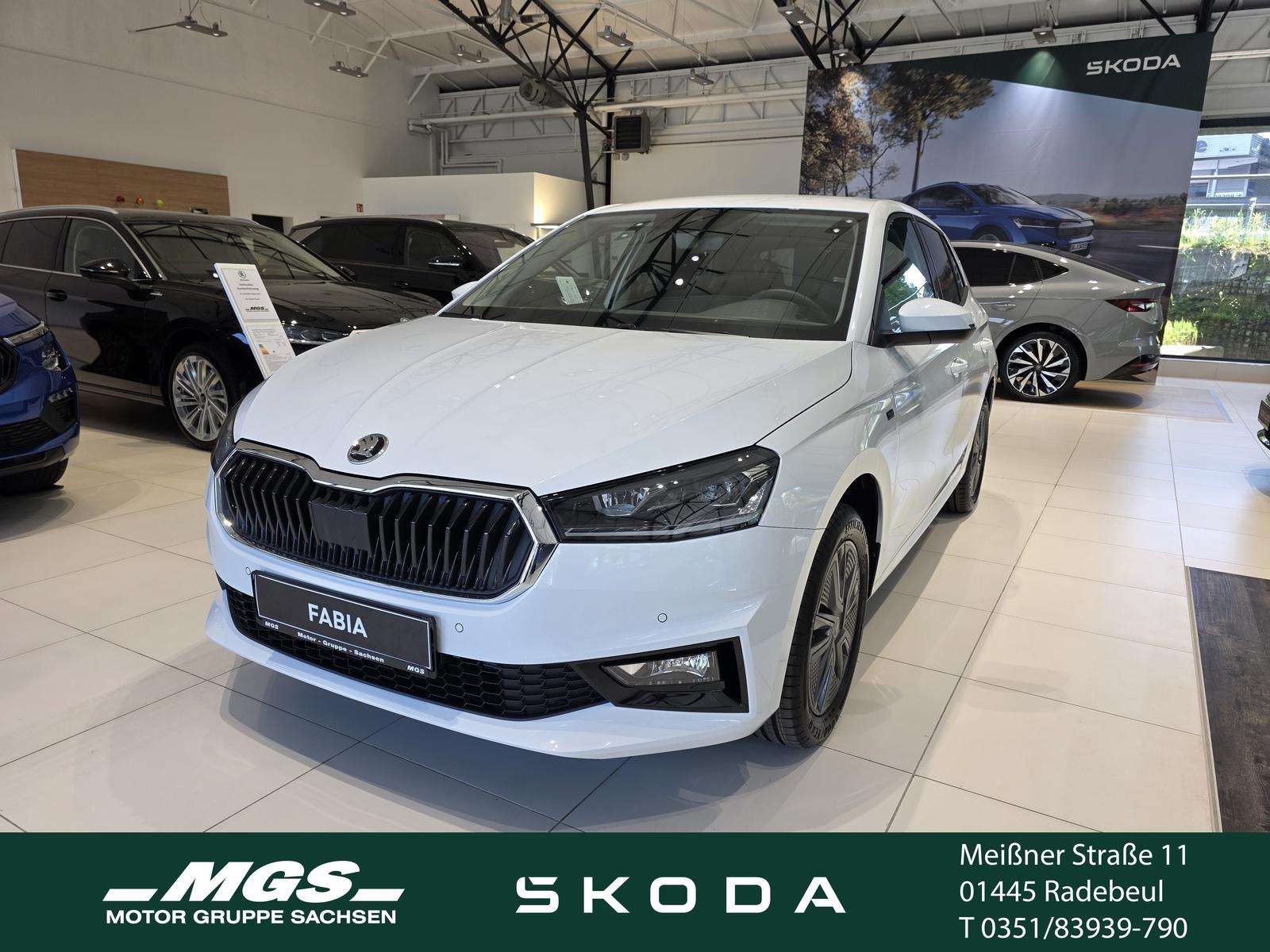 Brugt Škoda Fabia 1.0
