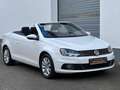 Volkswagen Eos 2.0 TDI DSG BMT*TÜV neu*Kamera*PDC Wit - thumbnail 1
