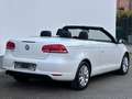 Volkswagen Eos 2.0 TDI DSG BMT*TÜV neu*Kamera*PDC Wit - thumbnail 8