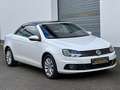 Volkswagen Eos 2.0 TDI DSG BMT*TÜV neu*Kamera*PDC Wit - thumbnail 12