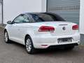 Volkswagen Eos 2.0 TDI DSG BMT*TÜV neu*Kamera*PDC Wit - thumbnail 17